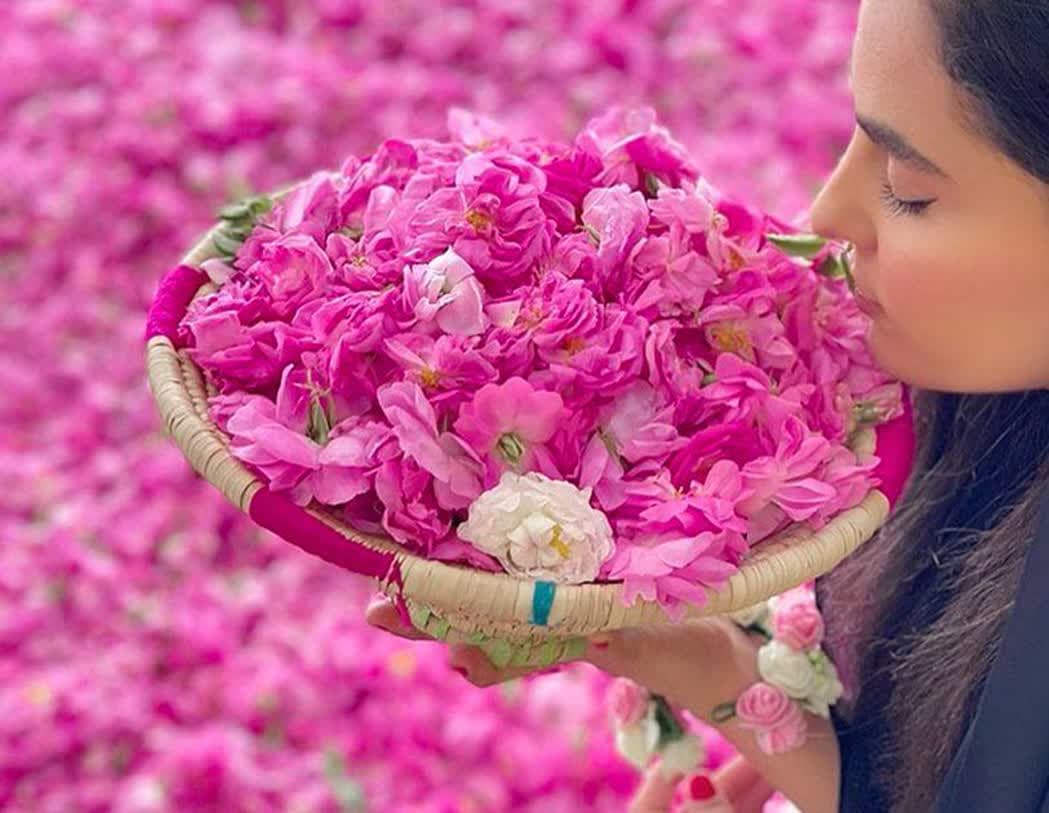 فروشگاه شما؛ کیفیتی که لمس می‌کنید